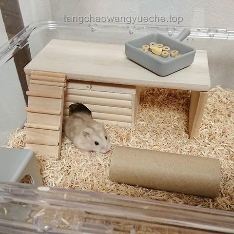 鼠鼠大乱斗：铲如疾风，势如闪电——宠物仓鼠竞技产业深度剖析